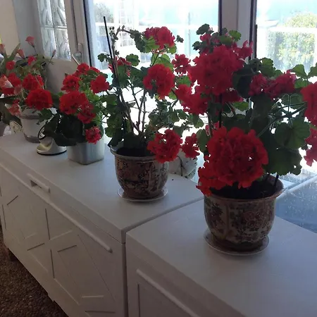 B&be Laguardia Bed & Breakfast Anacapri (Isola di Capri)